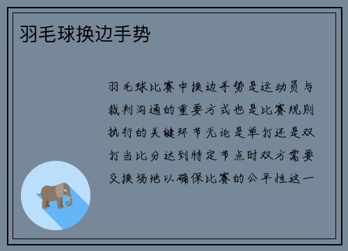 羽毛球换边手势