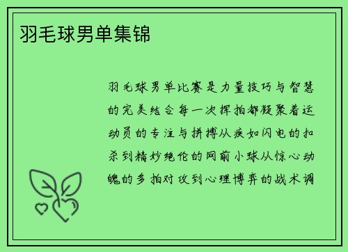 羽毛球男单集锦